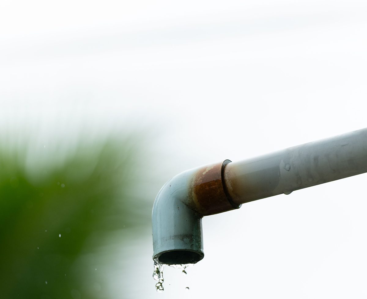 Licensed stock photograph: water dripping from the elbow of an outdoor pipe against green leaves.